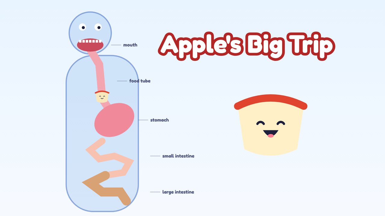 A see-through body showing the food tube, stomach and intestines, next to Pip, a smiling bite of apple